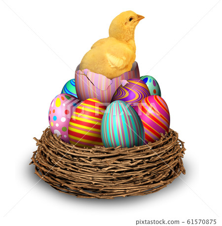 Easter Eggs Hatchling Chick 61570875