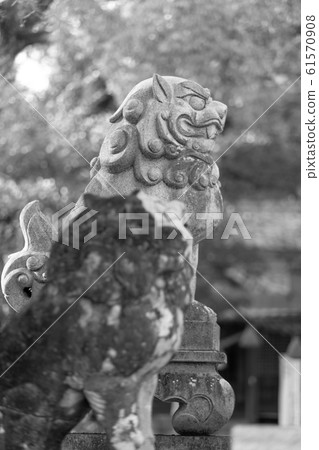 Kameyama Shrine 2987 Kameyama Shrine 2987 61570908