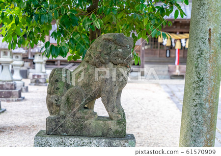 2971 Kameyama Shrine 2971 Kameyama Shrine 61570909