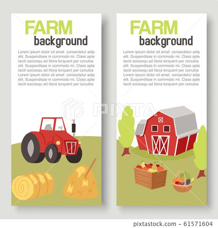 Farm harvestingbcrops with tractor and barn vector cartoon two vertical banners. Agriculture and Farming. Farmers agribusiness. Autumn harvest for print media. 61571604