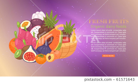 Fresh tropical fruit cartoon vector illustration banner with papaya, dragon fruit, carambola and lychee, fig, guava. 61571643