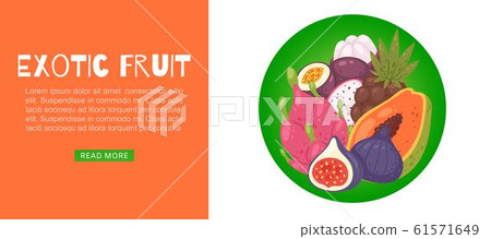 Tropical exotic fruit cartoon vector illustration with papaya, dragon fruit, carambola and passion fruit, lychee, fig, guava. Tropical exotic fruit cartoon vector illustration with papaya, dragon fruit, carambola and passion fruit, lychee, fig, guava. 61571649