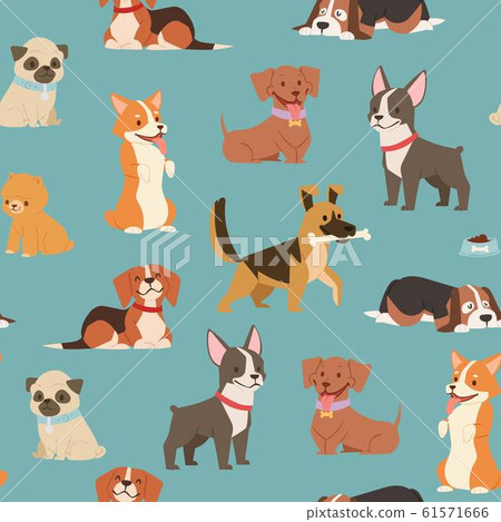 Dogs and puppies different breeds wrapping paper with husky, bulldog, schnuzer, spaniel vector seamless pattern illustration. Dogs and puppies different breeds wrapping paper with husky, bulldog, schnuzer, spaniel vector seamless pattern illustration. 61571666
