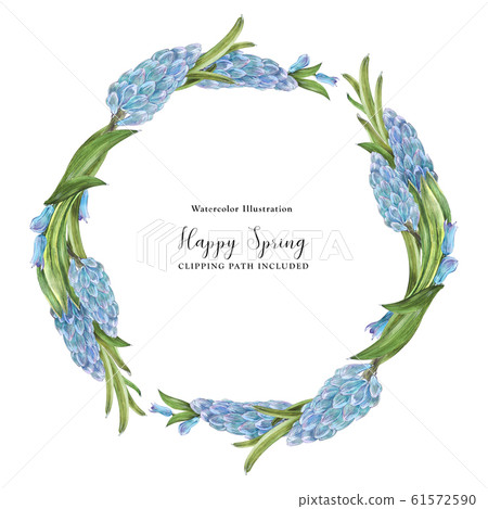 Decorative watercolor wreath with blue hiacynth Decorative watercolor wreath with blue hiacynth 61572590