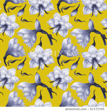Black and white hippeastrum yellow seamless 61572595