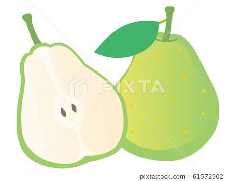 Illustration of whole and cut La France 61572902