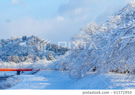秋田縣角館 61572950