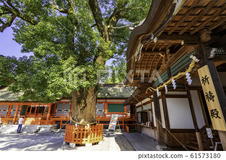 Usa Jingu Shrine Uemiya Prayer Hall Usa City, Oita Prefecture Usa Jingu Shrine Uemiya Prayer Hall Usa City, Oita Prefecture 61573180