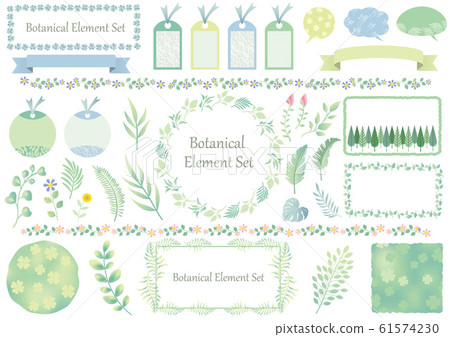 Set of botanical elements - Stock Illustration [61574230] - PIXTA