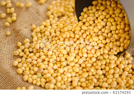 Soy bean in bowl with copy space.Close up Soy bean in bowl with copy space.Close up 61574293