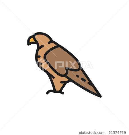 Eagle, falcon, georgian national bird flat color line icon. Eagle, falcon, georgian national bird flat color line icon. 61574759