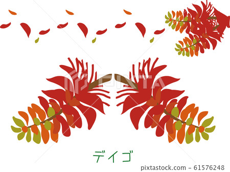 Tropical island Amami plant Deigo Tropical island Amami plant Deigo 61576248