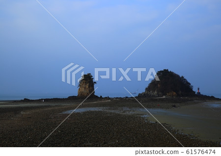 Seascape, flowers Seascape, flowers 61576474