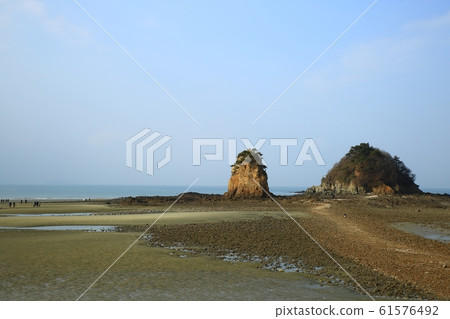Seascape, flowers Seascape, flowers 61576492