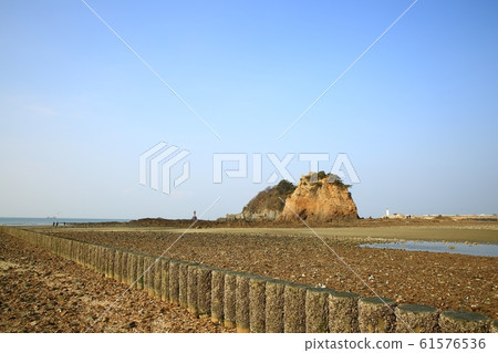 Seascape, flowers 61576536