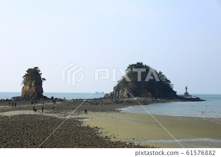 海景，花灘，自然 61576882