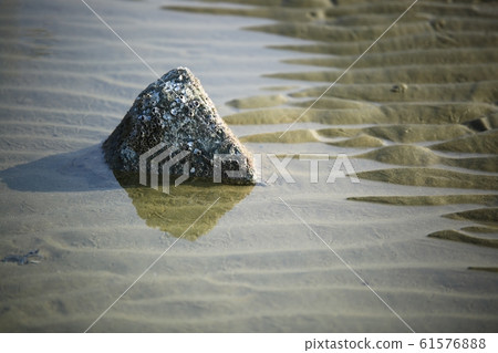 海景，花灘，自然 61576888