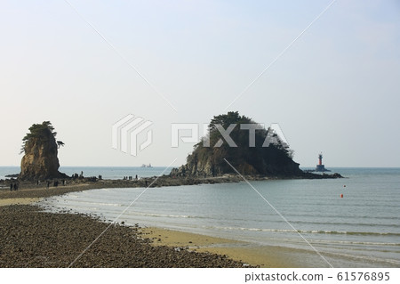 Seascape, flower beach, nature Seascape, flower beach, nature 61576895