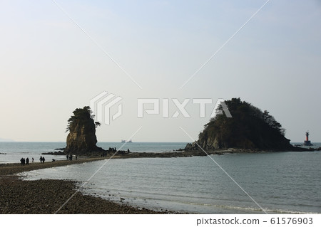 Seascape, flower beach, nature Seascape, flower beach, nature 61576903