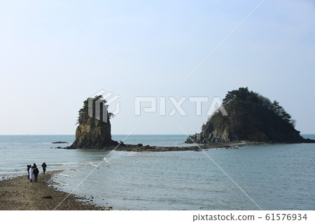 Seascape, flower beach, nature Seascape, flower beach, nature 61576934