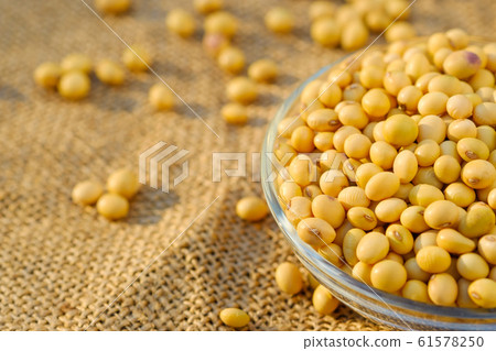 Soy bean in bowl with copy space.Close up Soy bean in bowl with copy space.Close up 61578250