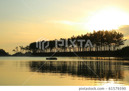 Seascape, nature, unyeo beach Seascape, nature, unyeo beach 61579390