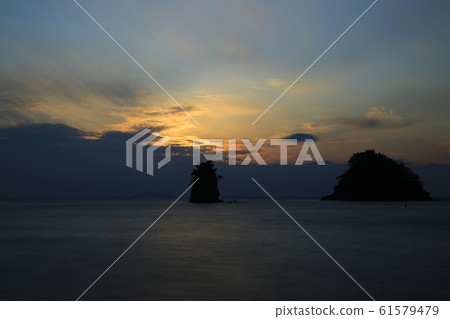 Seascape, nature, flowers 61579479