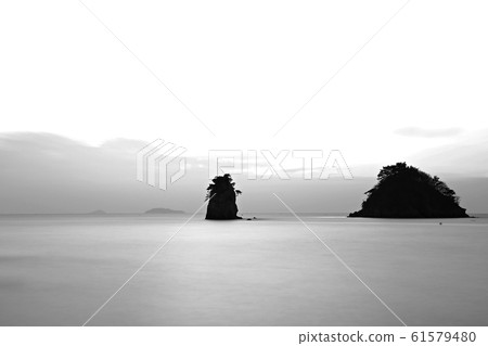 Seascape, nature, flowers 61579480