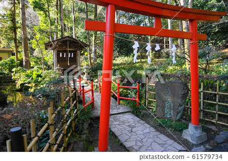 January 28 Kokubunji 28 Magataike Pond “Otaka no Michi/Magatagatanoike Spring Group” 61579734