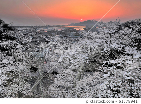 從和歌山Kisui-dera寺盛開的和歌山櫻花盛開的景色 61579941