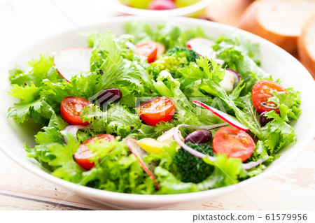 多彩的蔬菜沙拉早餐健康 多彩的蔬菜沙拉早餐健康 61579956