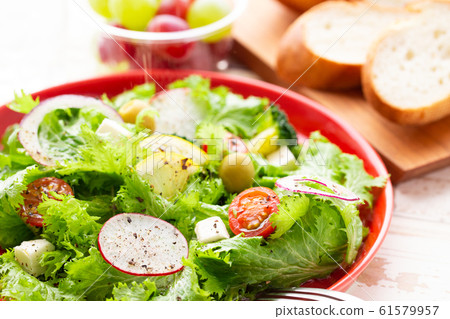 Fresh vegetable salad Fresh vegetable salad 61579957
