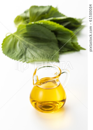 芝麻油和紫蘇葉 芝麻油和紫蘇葉 61580084