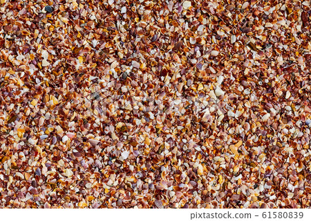 background the beach darkly brown many splinters background the beach darkly brown many splinters 61580839