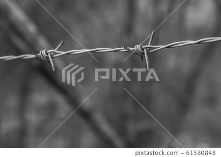iron and old barbed wire stretched against a iron and old barbed wire stretched against a 61580848