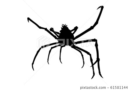 Animal silhouette sea and river crab 5 61581144