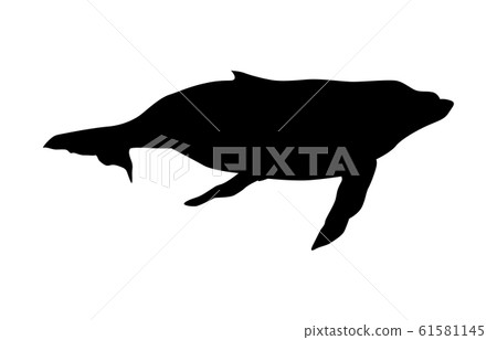 動物剪影海和河鯨1 61581145