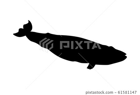 Animal silhouette sea and river whale 3 Animal silhouette sea and river whale 3 61581147