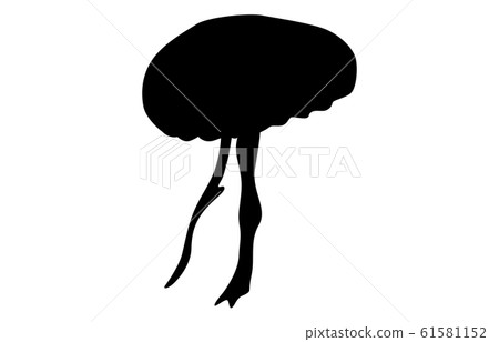 Animal silhouette sea jellyfish 2 Animal silhouette sea jellyfish 2 61581152