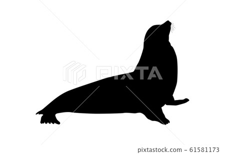 Animal silhouette sea and river fur seal 1 Animal silhouette sea and river fur seal 1 61581173