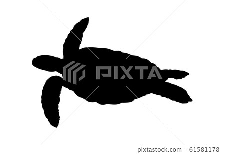 動物剪影海和河海龜2 動物剪影海和河海龜2 61581178