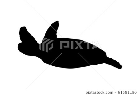 Animal silhouette sea and river sea turtle 4 Animal silhouette sea and river sea turtle 4 61581180