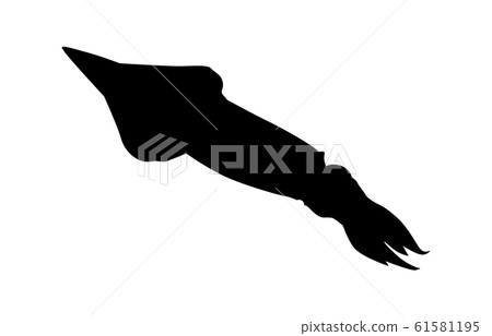 Animal silhouette sea / river squid 1 Animal silhouette sea / river squid 1 61581195