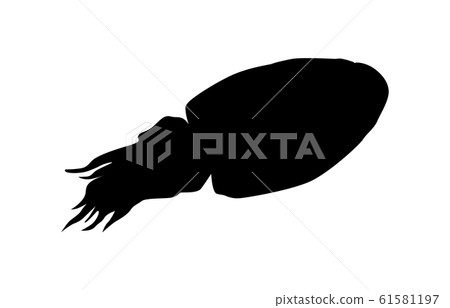 動物剪影海/河魷魚3 61581197