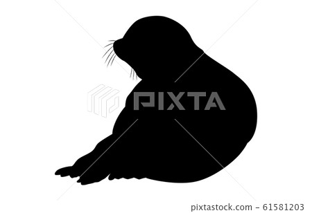 Animal silhouette sea and river seal 6 61581203