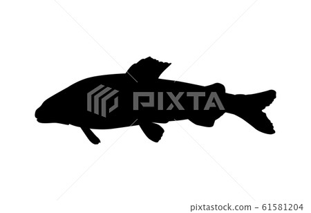 Animal silhouette sea and river ayu 1 61581204