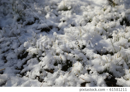 Kawara有雪視圖 Kawara有雪視圖 61581211