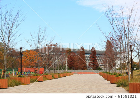 辰巳的森林海洋公園 辰巳的森林海洋公園 61581821