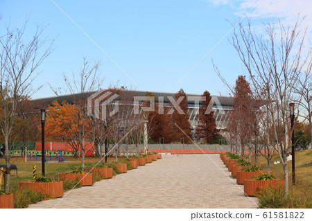 辰巳的森林海洋公園 辰巳的森林海洋公園 61581822