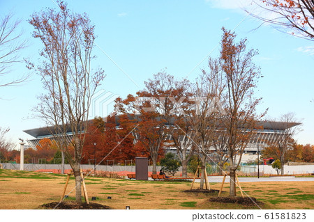 辰巳的森林海洋公園 辰巳的森林海洋公園 61581823